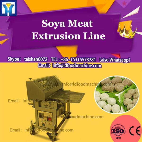 2017 DG Soya protein making machine /automatic sausage meat processing line/ soybean protain maker #1 image